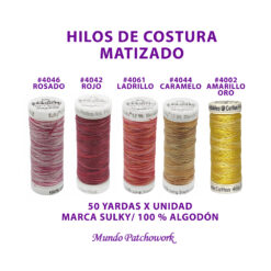 Hilos 4061 matizados marca Sulky 100% algodòn, por unidad
