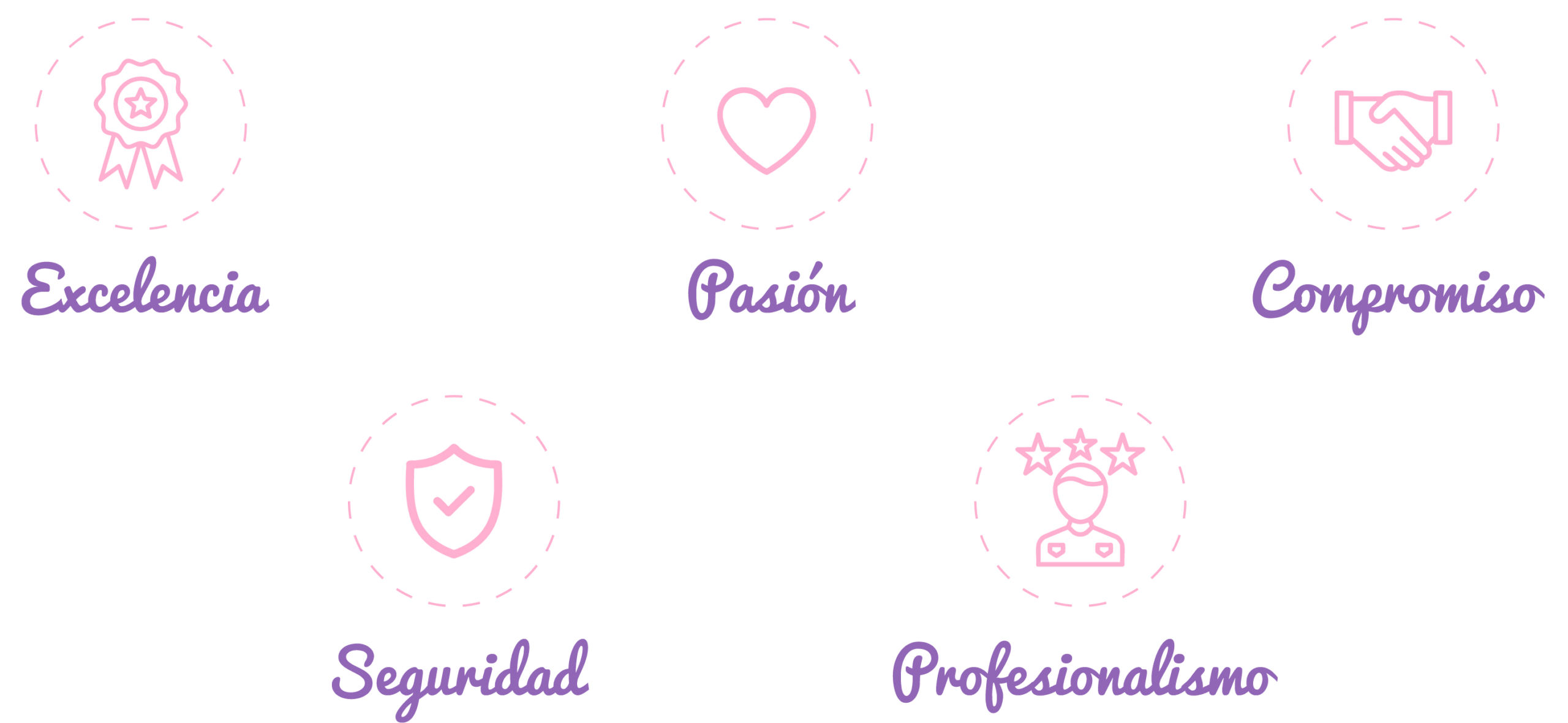 Nuestros valores: Excelencia, Pasión, Compromiso, Seguridad, Profesionalismo